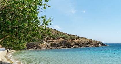 Maison de vacances 'Seaview Mastrozanne Studio 6 Andros' avec vue sur la mer, Wi-Fi et climatisation
