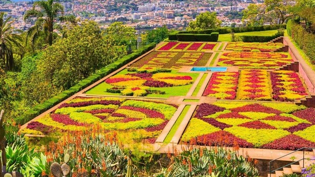 En trädgård med geometriskt utformade blomsterrabatter och en stadsbild i bakgrunden.