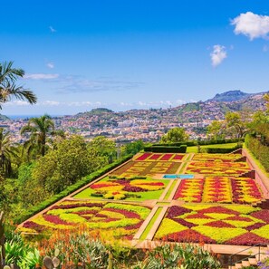 A garden with geometric flower beds and a cityscape in the background.