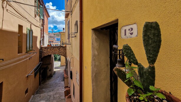 Una calle estrecha con edificios, una planta de cactus y una campana en la pared.