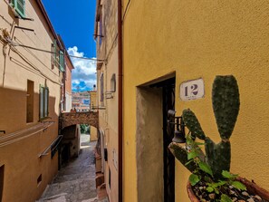 A narrow street with buildings, a cactus plant, and a bell on the wall. - Apartment 'Il Borgo 5' with Air Conditioning (Capoliveri)