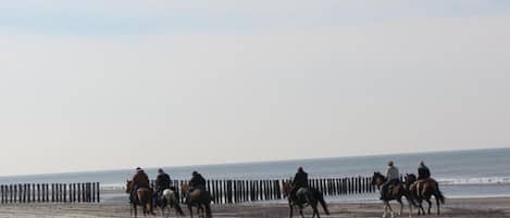 Nära stranden