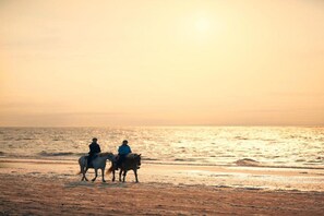 Beach nearby - Holiday Home in Renesse near the Beach (Renesse)