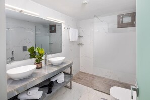 Shower, hair dryer