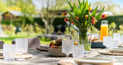 Luxury chalet near Ouddorp with garden