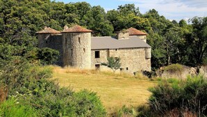 A stone building with a tiled roof, surrounded by dense trees and grass.