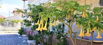 Eleni Apartments Sant George Beach