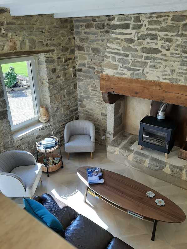 Smart TV, chimenea y libros
