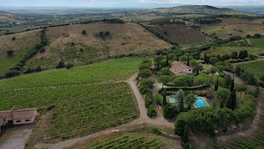 A vineyard with rows of grapevines, a swimming pool, and a house surrounded by trees. - Villa Monte Bottigli (Grosseto)