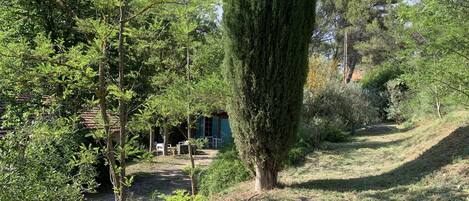 Overnattingsstedets uteområder