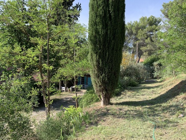 المنطقة المحيطة بالمنشأة