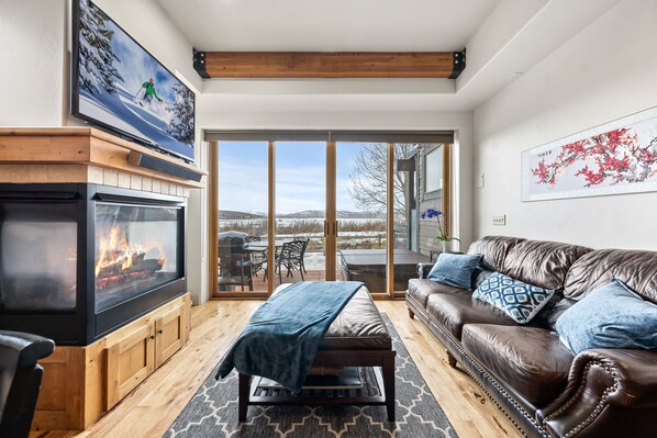 Televisión, chimenea, reproductor de DVD y estéreo 