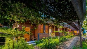 Filas de cabañas de madera con un sendero de ladrillo y abundante vegetación.