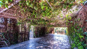 A narrow stone pathway with a metal fence on one side and dense greenery on the other. - La Peña Luxury Tarifa (Tarifa)