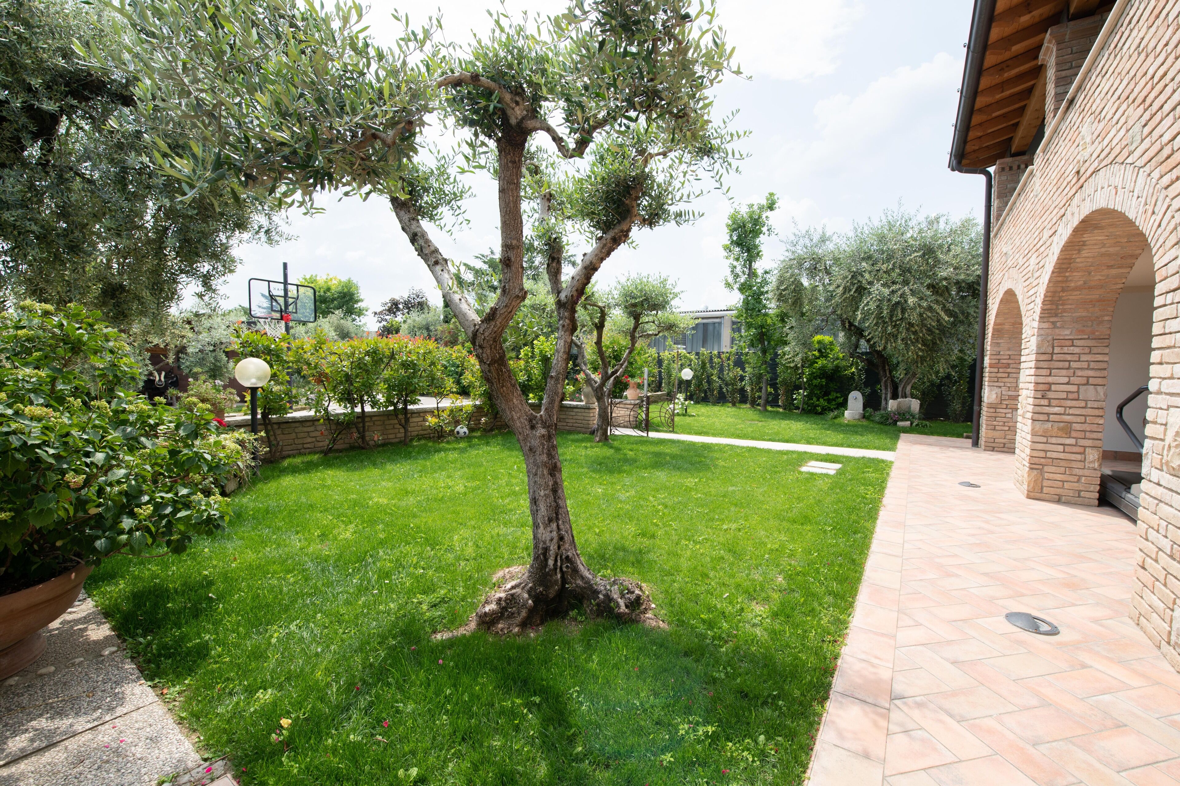 A well-maintained garden with a central tree, a brick building with arches, and a paved walkway.