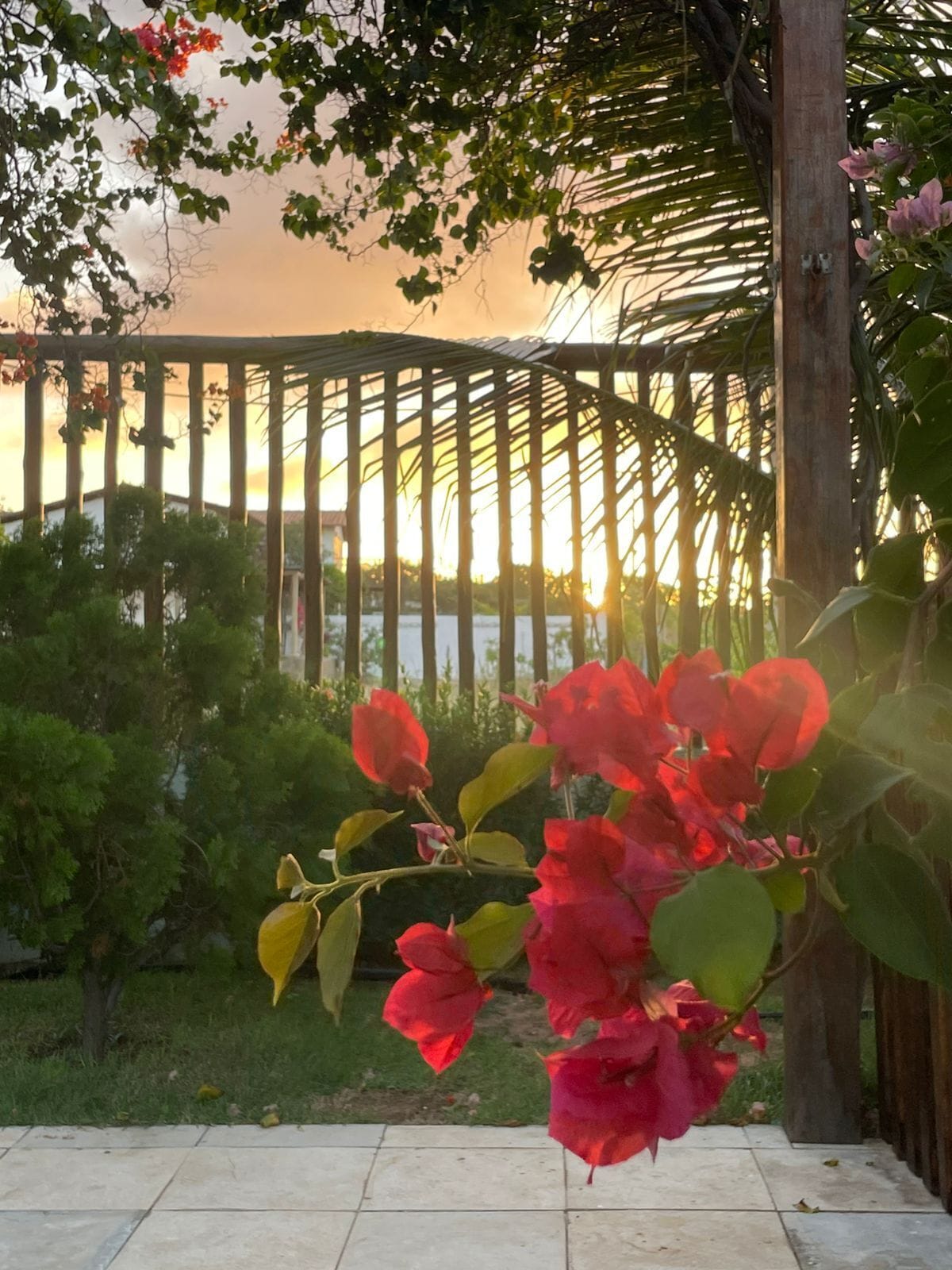 A garden with a wooden pergola, red flowers, and a tiled patio.