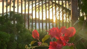 A garden with a wooden pergola, red flowers, and a tiled patio.