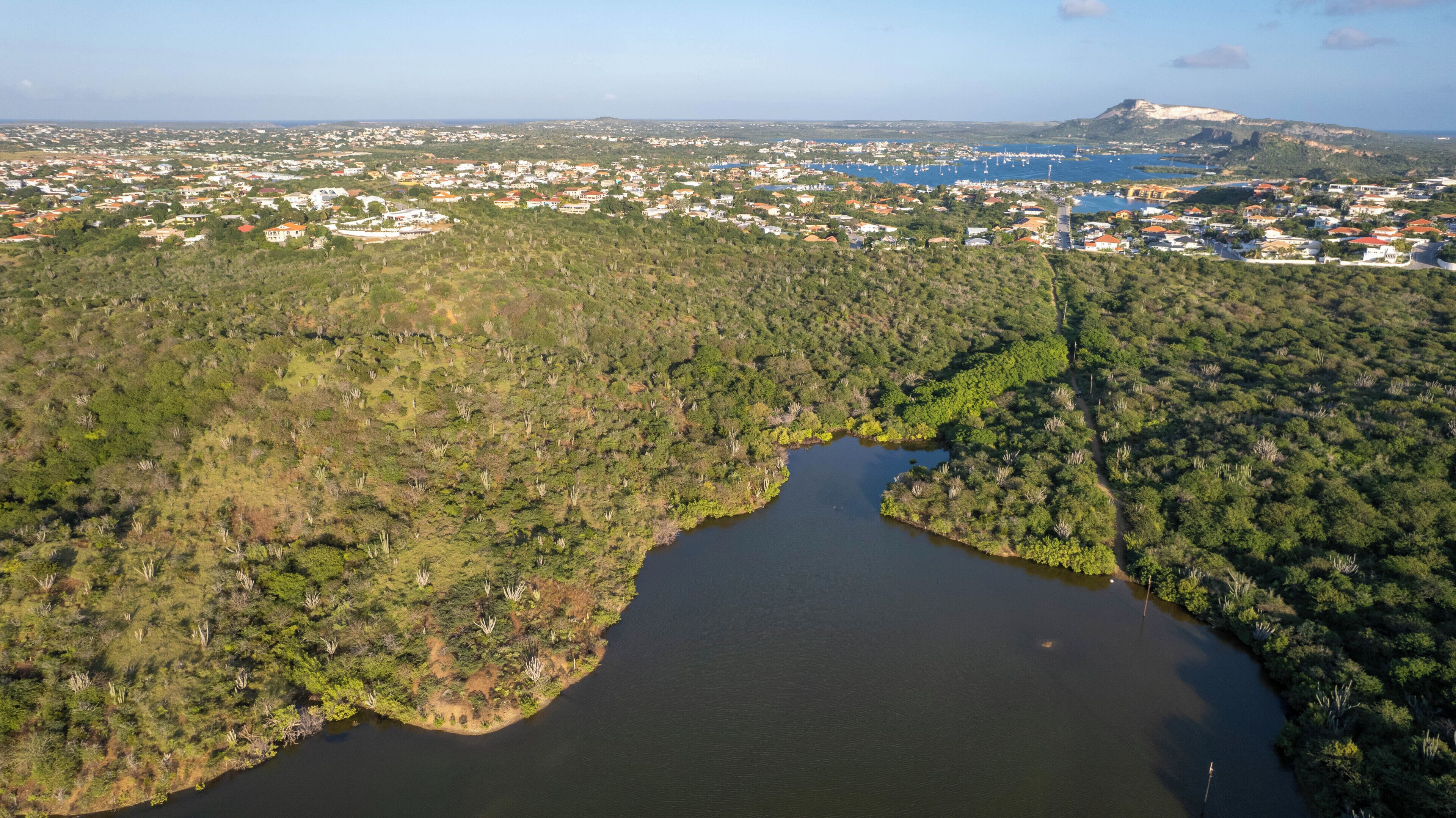An aerial view of a coastal town with a river, dense greenery, and a mountainous backdrop.