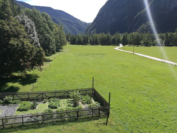 Apartment, 1 Bedroom, Smoking, Balcony | View from property - Apartment at the Farm Psnak (Kranjska Gora)
