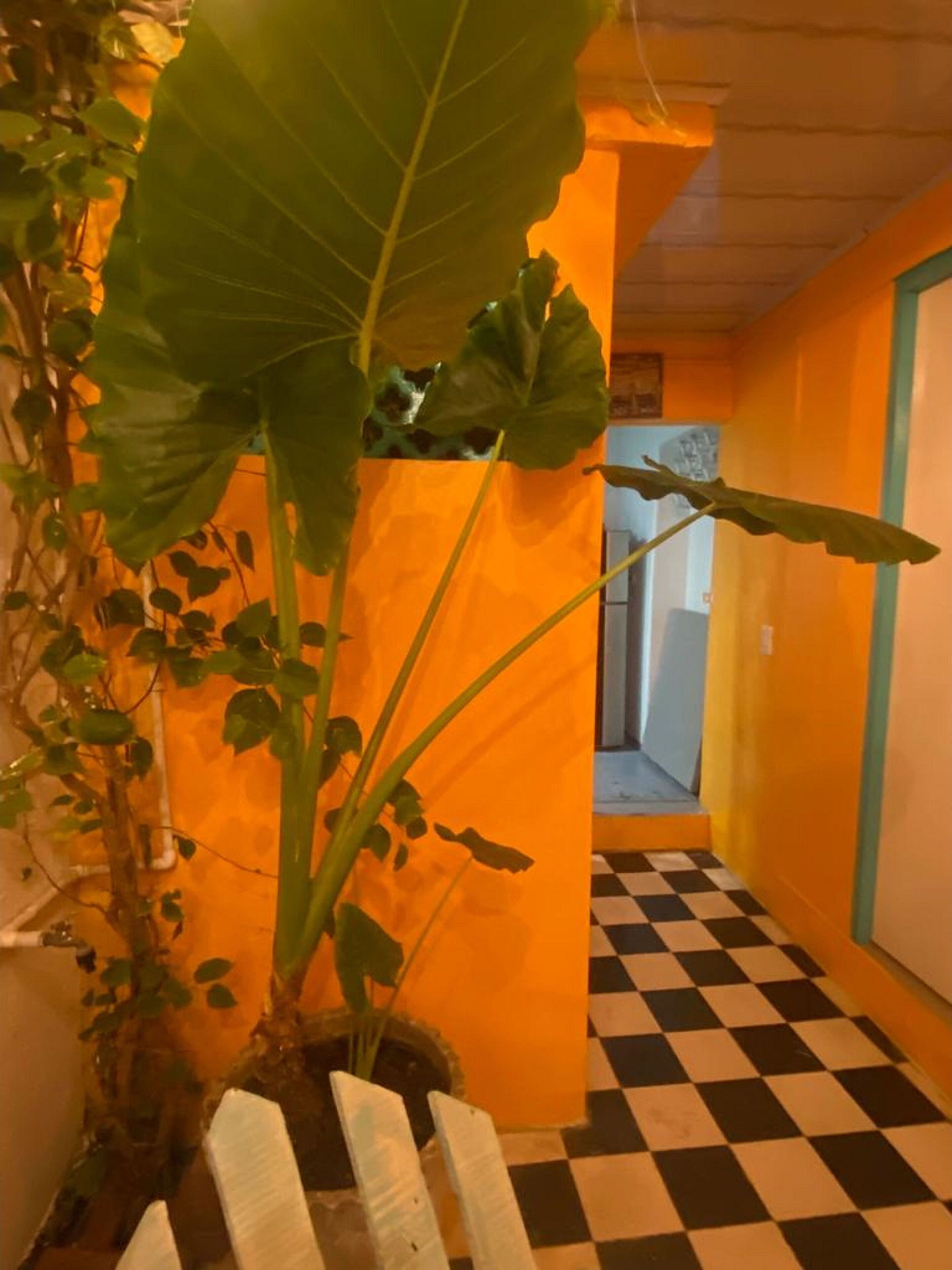 Foto - Room in Lodge - Cr-1 Room In Getsemani With Breakfast WIFI And Air Conditioning