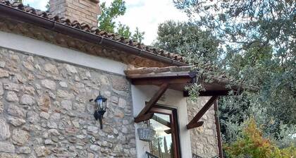 The Little House of Vacone Italy