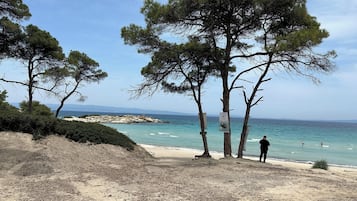 Vila, 6 kamar tidur, balkon, pemandangan kebun | Pantai