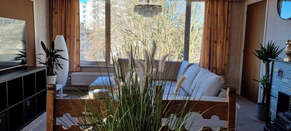 A modern living room with a sofa, television, and decorative plants.