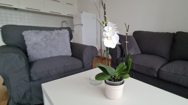 A living room with a grey sofa, a white coffee table, and a potted plant. - Features of Good And Night (Neuss)