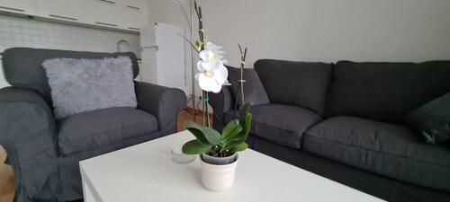 Features of Good And Night