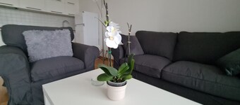 Features of Good And Night