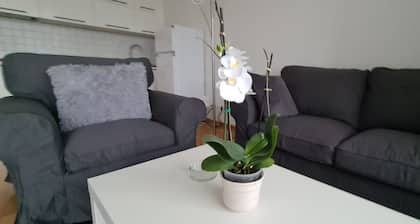 Features of Good And Night