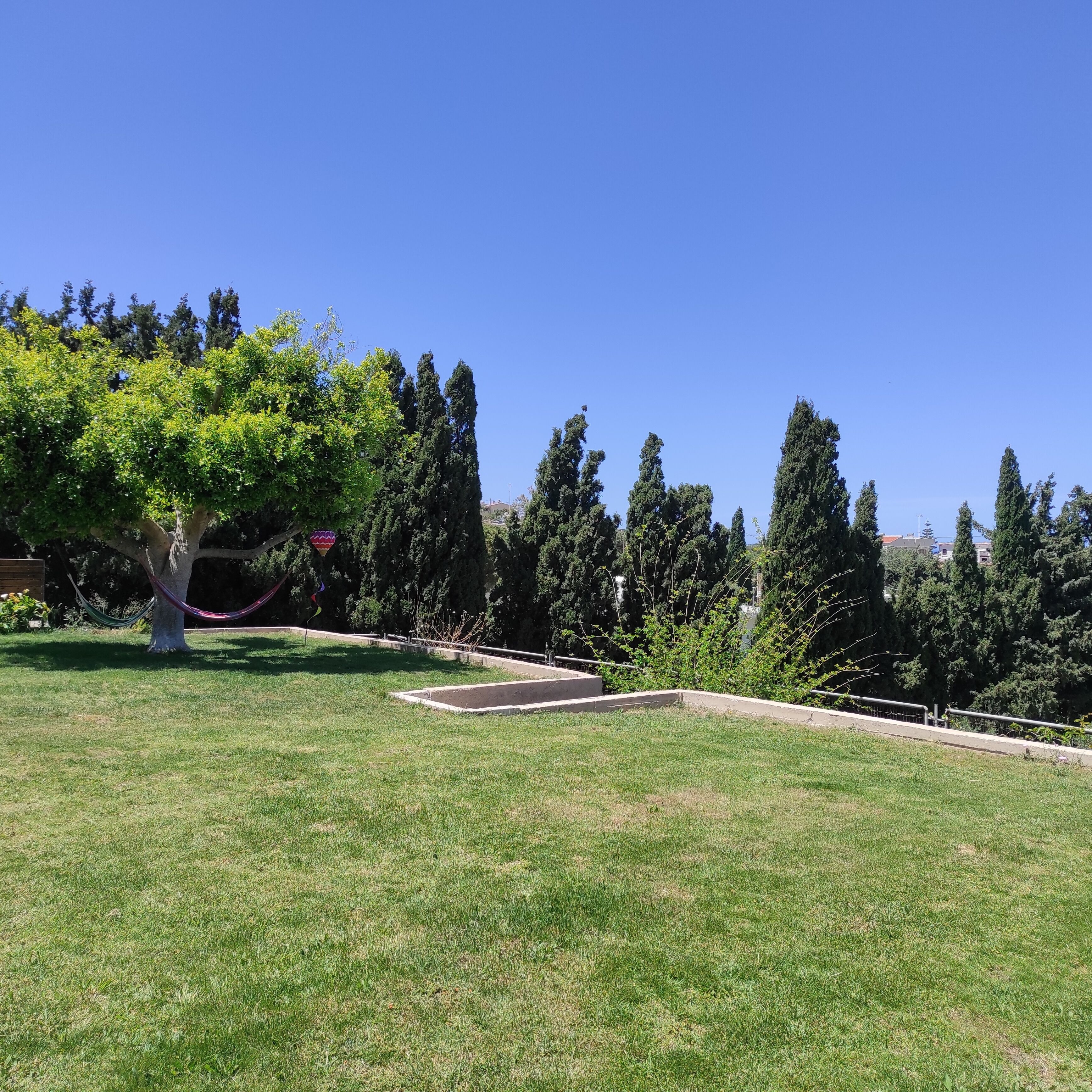 A grassy outdoor area with a hammock, trees, and a concrete path.
