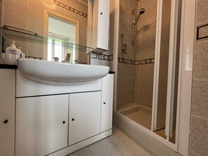 Shower, hair dryer, bidet, towels