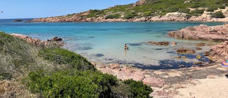 Ferienhaus, 3 Schlafzimmer, Balkon, Gartenblick | Blick von der Unterkunft