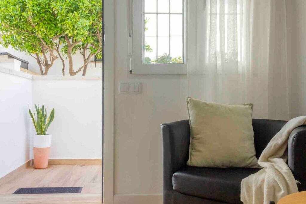 Une pièce avec un canapé en cuir noir, une seule plante verte en pot, une fenêtre avec des rideaux légers et une vue sur les arbres à l’extérieur.