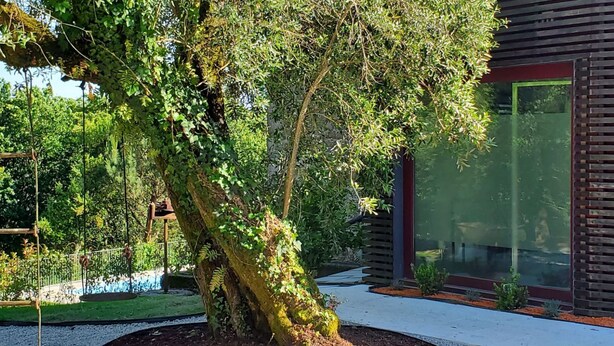 A modern building with a glass facade, a tree in the foreground, and a pathway leading to the entrance. - Villa em Arcos de Valdevez - Quinta com piscina privada , adequado para familias (Gondoriz - Arcos de Valdevez)