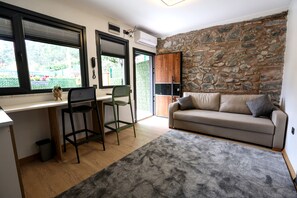 Deluxe Apartment | Living area | 120-cm LED TV with digital channels, TV, computer monitors