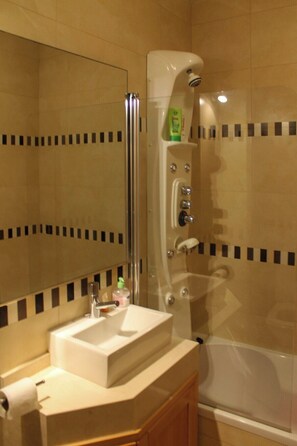 浴缸、吹风机、毛巾、卫生纸