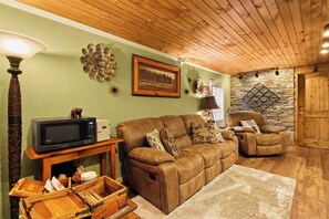 Télévision, cheminée, jeux vidéo, lecteur de DVD