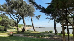 A garden with a pathway leading to a beach. - Studio Dans Résidence Avec Accès Direct à la Plage (Saint-Palais-sur-Mer)
