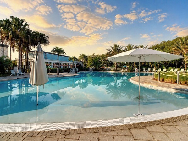 A clear swimming pool with lounge chairs and umbrellas, surrounded by palm trees and a building in the background.