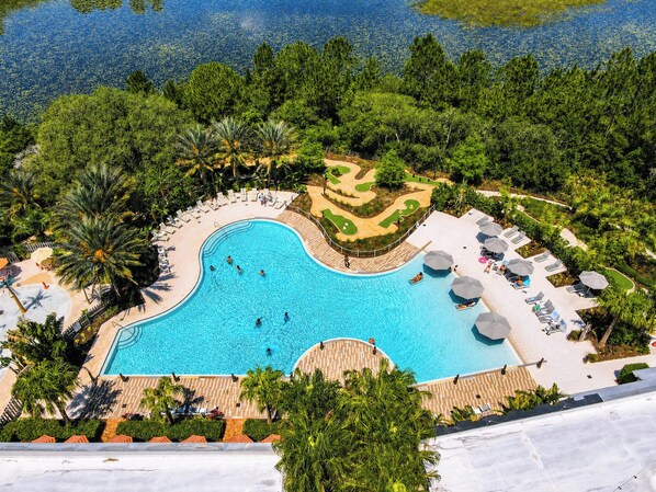 A large swimming pool surrounded by palm trees and lounge chairs.