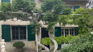 A courtyard with a stone floor, a tree, and a statue. - Mas Provençal du XIX Siècle (Cavaillon)