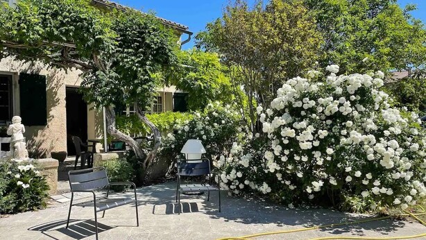 A garden with a bench, a statue, and a white flowering bush. - Mas Provençal du XIX Siècle (Cavaillon)