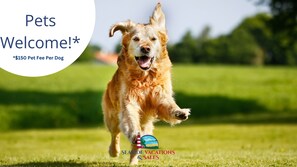 Pet-friendly - Oyster Lane 103 in Montego Bay is a Beautiful Family Escape! (Ocean City)