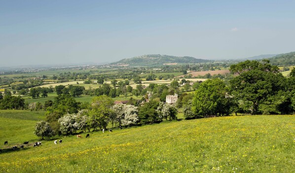 A rural landscape with rolling hills, a small village, and a church.