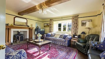 Smart TV, fireplace, video games, DVD player