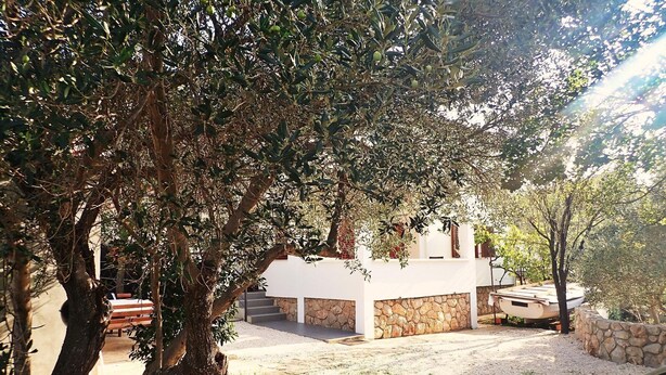 Un bâtiment moderne avec des fondations en pierre et des murs blancs, entouré d’oliviers et bordé d’une allée en gravier.