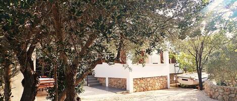 Áreas de la propiedad