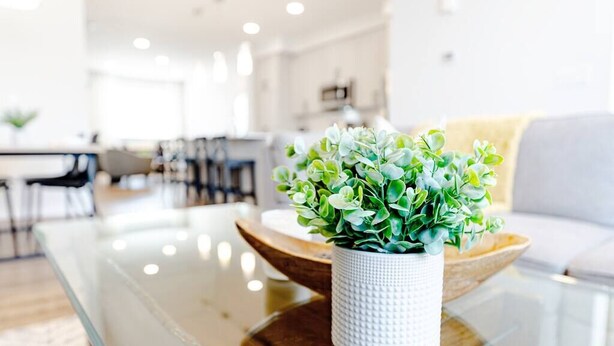 A modern living room with a glass coffee table, a white textured vase with green foliage, and a beige sofa. - Paisley. Sleeps 6. Dog Friendly. A/C (Southwest)